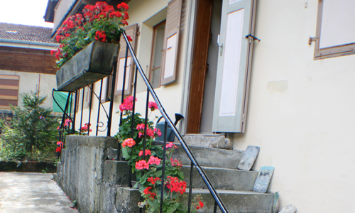 Steps leading to front door